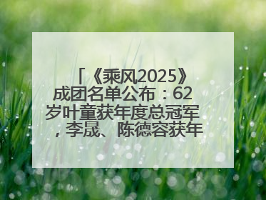 《乘风2025》成团名单公布：62岁叶童获年度总冠军，李晟、陈德容获年度高光人物