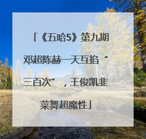 《五哈5》第九期邓超陈赫一天互掐“三百次”，王俊凯韭菜舞超魔性
