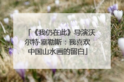 《我仍在此》导演沃尔特·塞勒斯：我喜欢中国山水画的留白
