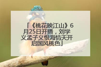 《桃花映江山》6月25日开播，刘学义孟子义恨海情天开启国风桃色
