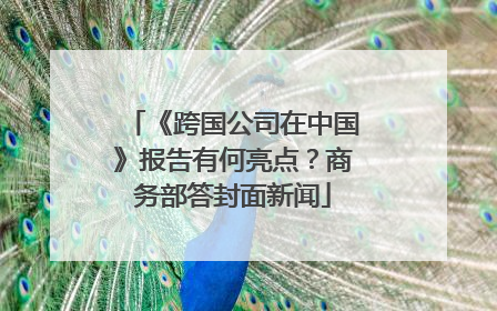 《跨国公司在中国》报告有何亮点？商务部答封面新闻