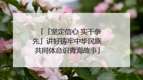 「坚定信心 实干争先」讲好铸牢中华民族共同体意识青海故事