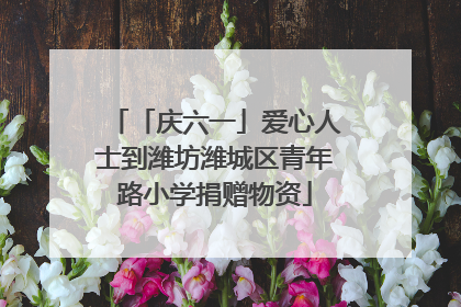 「庆六一」爱心人士到潍坊潍城区青年路小学捐赠物资