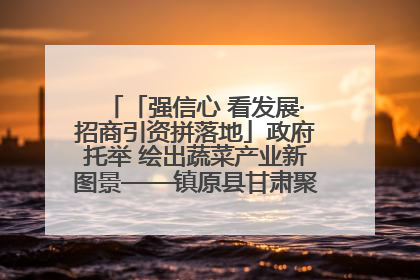「强信心 看发展·招商引资拼落地」政府托举 绘出蔬菜产业新图景——镇原县甘肃聚广利现代设施蔬菜种植基地见闻