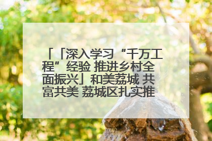 「深入学习“千万工程”经验 推进乡村全面振兴」和美荔城 共富共美 荔城区扎实推进乡村振兴工作