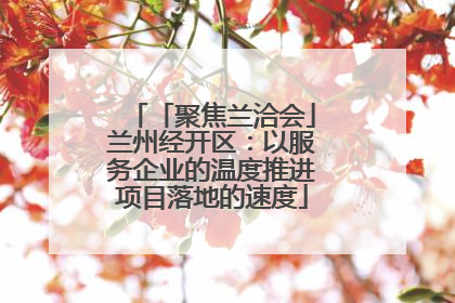 「聚焦兰洽会」兰州经开区：以服务企业的温度推进项目落地的速度