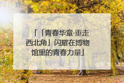 「青春华章·重走西北角」闪耀在博物馆里的青春力量