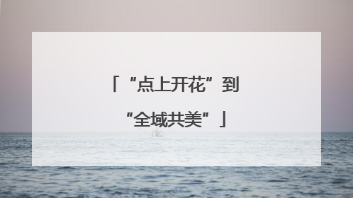 “点上开花”到“全域共美”