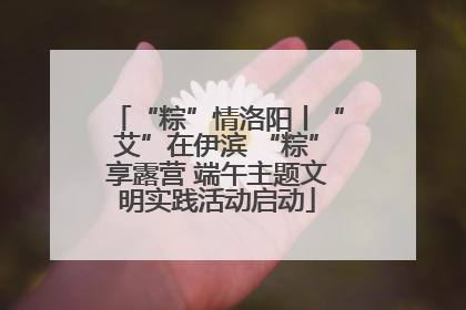“粽”情洛阳丨“艾”在伊滨 “粽”享露营 端午主题文明实践活动启动