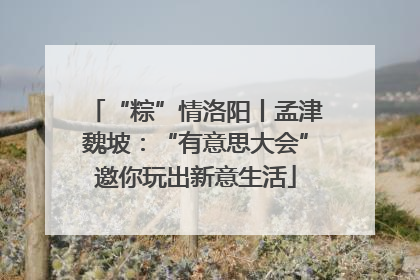“粽”情洛阳丨孟津魏坡：“有意思大会”邀你玩出新意生活