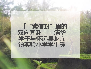 “紫信封”里的双向奔赴——清华学子与怀远县龙亢镇实验小学学生暖心书信之约