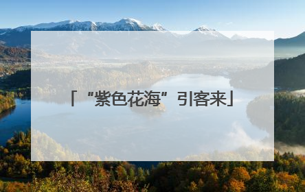 “紫色花海”引客来