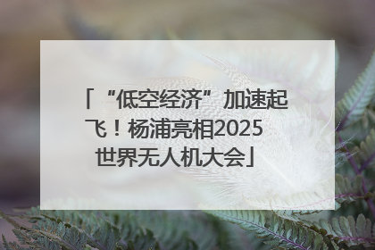“低空经济”加速起飞！杨浦亮相2025世界无人机大会