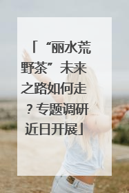 “丽水荒野茶”未来之路如何走？专题调研近日开展