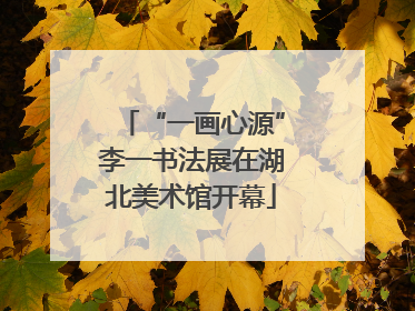 “一画心源”李一书法展在湖北美术馆开幕