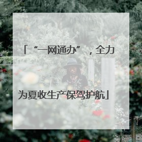 “一网通办”，全力为夏收生产保驾护航