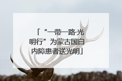 “一带一路·光明行”为蒙古国白内障患者送光明
