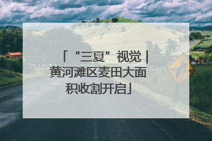 “三夏”视觉｜黄河滩区麦田大面积收割开启
