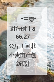 “三夏”进行时丨866.27公斤！河北小麦亩产创新高