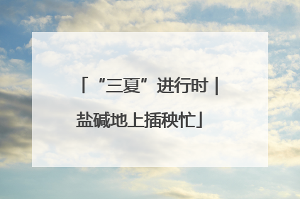 “三夏”进行时｜盐碱地上插秧忙