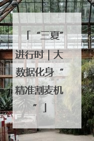 “三夏”进行时｜大数据化身“精准割麦机”