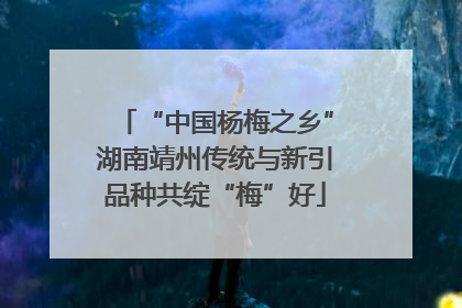 “中国杨梅之乡”湖南靖州传统与新引品种共绽“梅”好