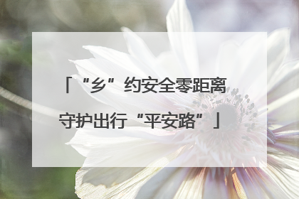 “乡”约安全零距离 守护出行“平安路”