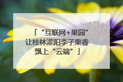 “互联网+果园”让桂林灌阳李子果香飘上“云端”