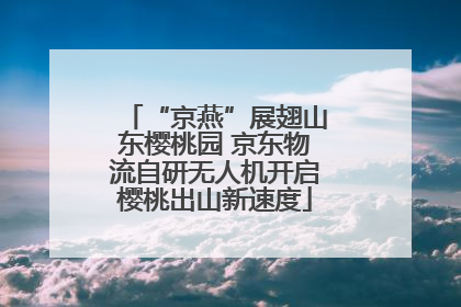“京燕”展翅山东樱桃园 京东物流自研无人机开启樱桃出山新速度