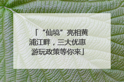 “仙境”亮相黄浦江畔，三大优惠游玩政策等你来