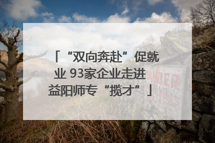 “双向奔赴”促就业 93家企业走进益阳师专“揽才”
