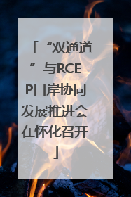 “双通道”与RCEP口岸协同发展推进会在怀化召开