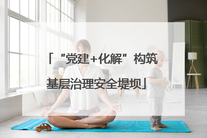“党建+化解”构筑基层治理安全堤坝
