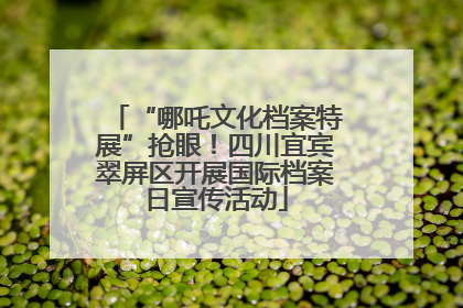 “哪吒文化档案特展”抢眼！四川宜宾翠屏区开展国际档案日宣传活动