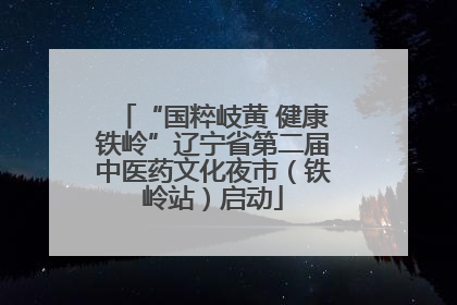 “国粹岐黄 健康铁岭”辽宁省第二届中医药文化夜市（铁岭站）启动