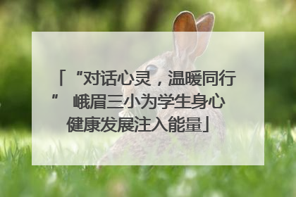“对话心灵，温暖同行” 峨眉三小为学生身心健康发展注入能量
