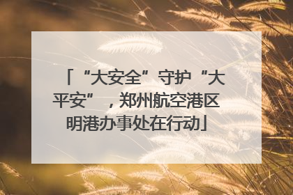 “大安全”守护“大平安”，郑州航空港区明港办事处在行动