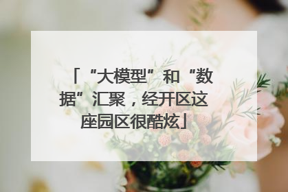 “大模型”和“数据”汇聚，经开区这座园区很酷炫