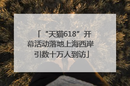 “天猫618”开幕活动落地上海西岸 引数十万人到访