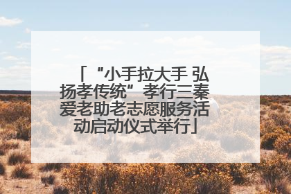 “小手拉大手 弘扬孝传统”孝行三秦爱老助老志愿服务活动启动仪式举行