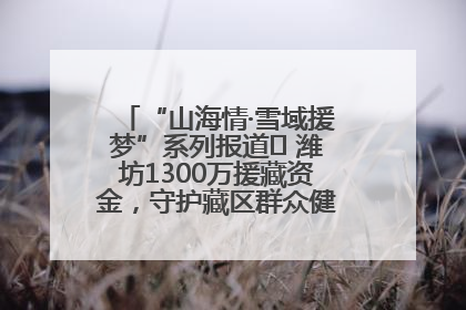 “山海情·雪域援梦”系列报道⑪ 潍坊1300万援藏资金，守护藏区群众健康“最后一公里”