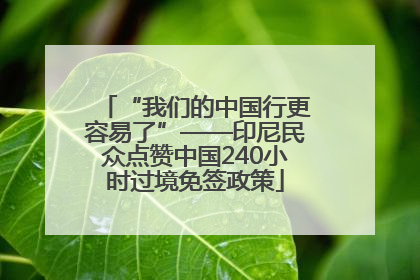 “我们的中国行更容易了”——印尼民众点赞中国240小时过境免签政策