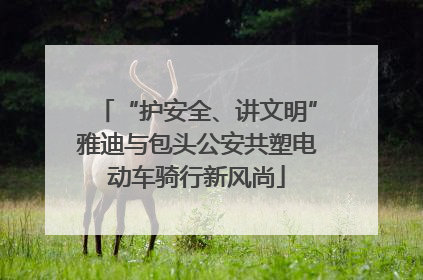 “护安全、讲文明”雅迪与包头公安共塑电动车骑行新风尚