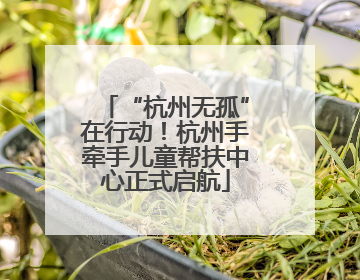 “杭州无孤”在行动！杭州手牵手儿童帮扶中心正式启航