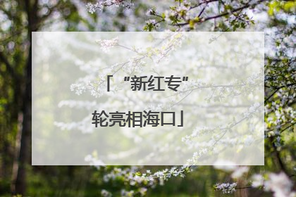 “新红专”轮亮相海口