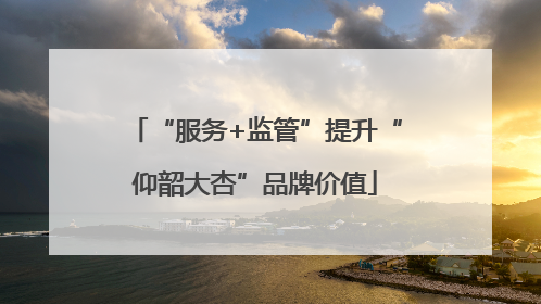 “服务+监管”提升“仰韶大杏”品牌价值