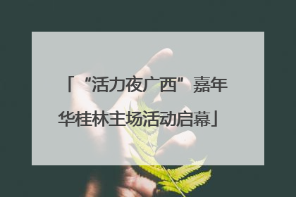 “活力夜广西”嘉年华桂林主场活动启幕