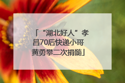 “湖北好人”孝昌70后快递小哥黄勇攀二次捐髓