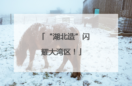 “湖北造”闪耀大湾区！