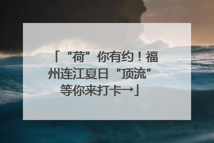 “荷”你有约！福州连江夏日“顶流”等你来打卡→